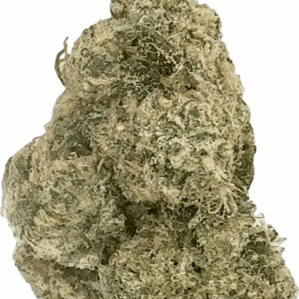 Acai Jelly – Balanced Hybrid