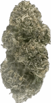 Gelatli – Balanced Hybrid