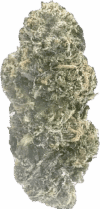 Gelatli – Balanced Hybrid - Image 2