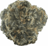 Lemon Poppers – Balanced Hybrid
