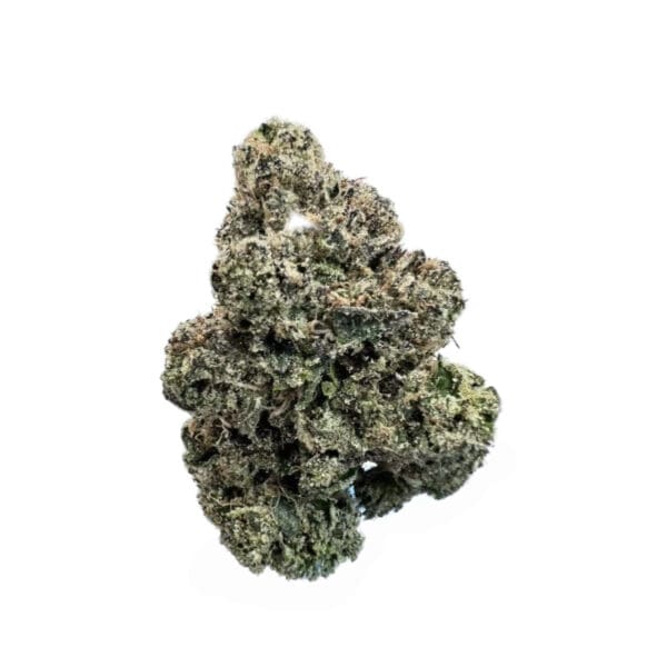 Mochi Gelato – Balanced Hybrid