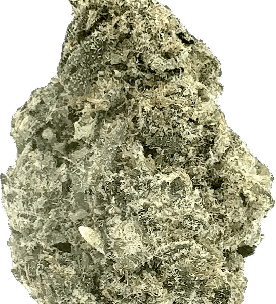 Purple Kush – Potent Indica