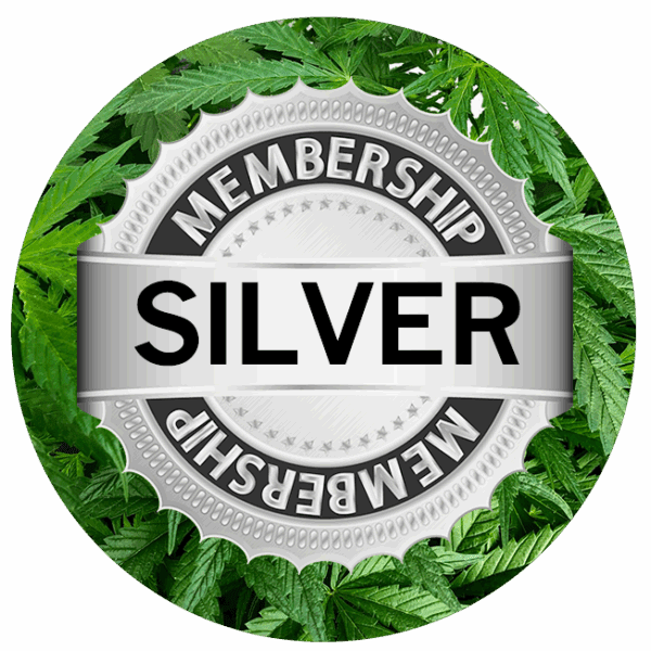 Silver Flower