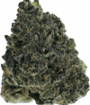 Strawberry Lemonade – Hybrid - Image 2