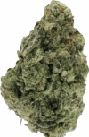 Passion Fruit Strain – Balanced Hybrid