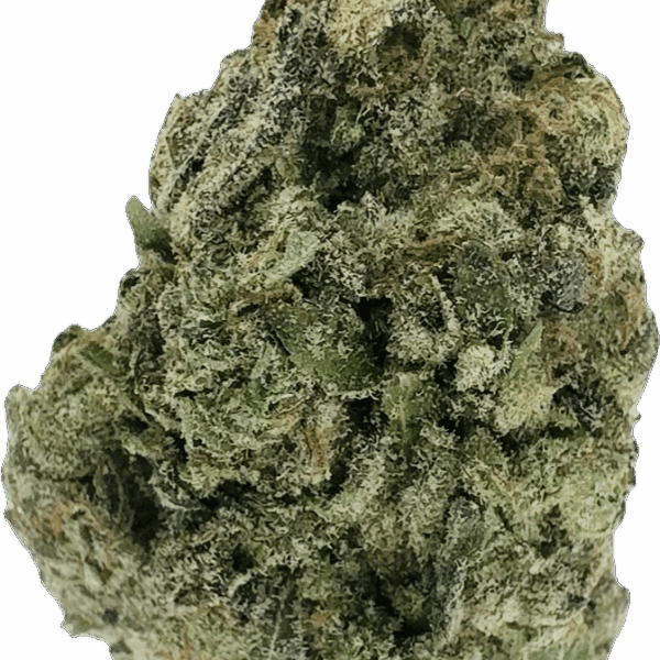 Passion Fruit Strain – Balanced Hybrid
