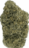 Pina Golada Strain – Balanced Hybrid