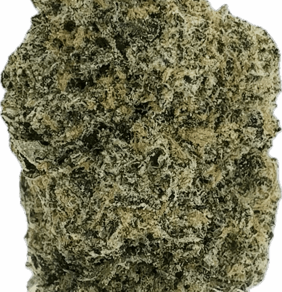 Pina Golada Strain – Balanced Hybrid