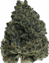 Strawberry Lemonade – Hybrid