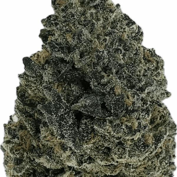 Strawberry Lemonade – Hybrid