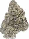 Cheetah Piss – Balanced Hybrid - Image 2