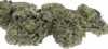 Gelato King Strain High THC Indoor Hybrid Cannabis - Image 3