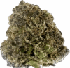Apple Fritter Strain – Balanced Hybrid - Image 2