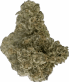 Juicy Gelato – Sweet Hybrid