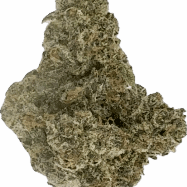 Juicy Gelato – Sweet Hybrid