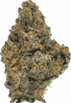 Guava Strain – Balanced Hybrid - Image 3