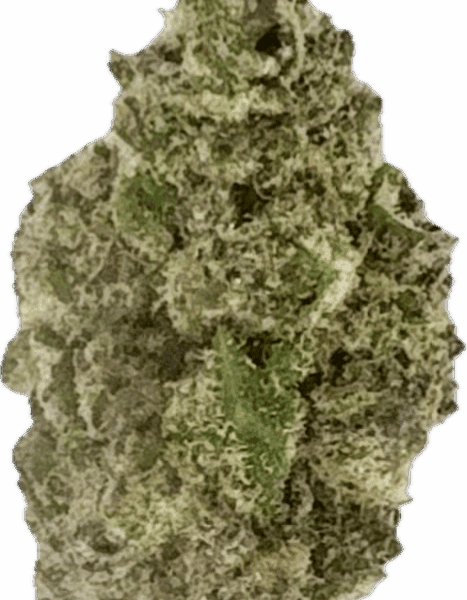 Pop Rocks  – Potent Hybrid