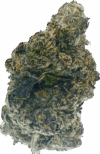 Lemon Haze Strain – Sativa - Image 3