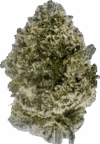Candy Cake – Balanced Hybrid