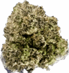 Apple Fritter Strain – Balanced Hybrid