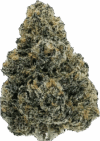 Purple Zlushie – Balanced Hybrid