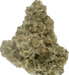 Juicy Gelato – Sweet Hybrid - Image 2
