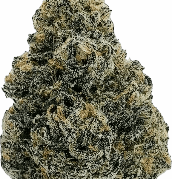 Purple Zlushie – Balanced Hybrid
