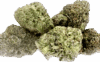 Apple Fritter Strain – Balanced Hybrid - Image 3