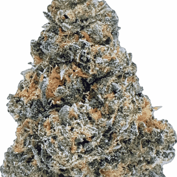Guava Strain – Balanced Hybrid