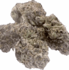Cheetah Piss – Balanced Hybrid - Image 3