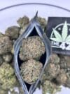 Cereal Milk Strain - Sweet Hybrid - Image 2
