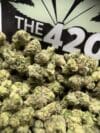 Strawberry Lemonade Strain (Small Flower) | Sativa-Dominant Hybrid