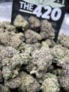Runtz Zooshi – Exotic Balanced Hybrid Strain 🔥 New Drop - Image 2