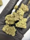 GG4 Premium Indoor Flower Hybrid 🔥 New Drop - Image 4