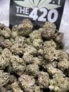 GMO Cookie – Indica-Dominant Hybrid 🔥 Fresh Batch