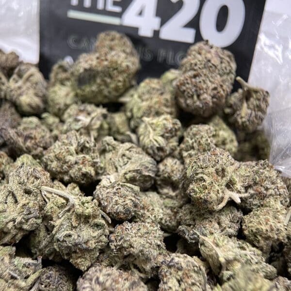 GMO Cookie – Indica-Dominant Hybrid 🔥 Fresh Batch