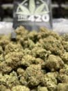 Monster Cookie – Indica-Dominant Hybrid