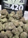 Blue Cherry Strain – Premium Exotic Hybrid Flower - Image 3