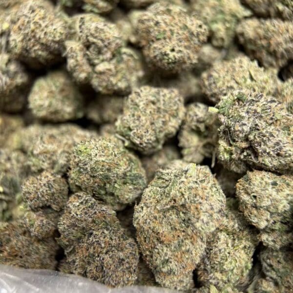 Wagyu A5 – Exotic Indica Hybrid Premium Tier