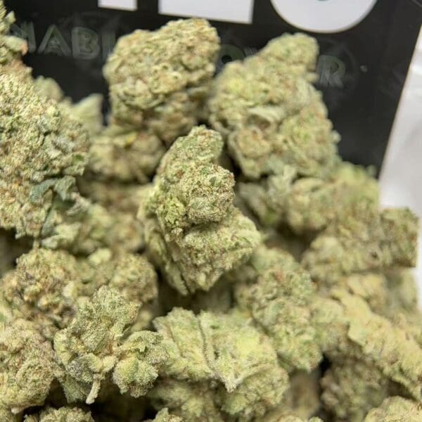 GG4 Premium Indoor Flower Hybrid 🔥 New Drop