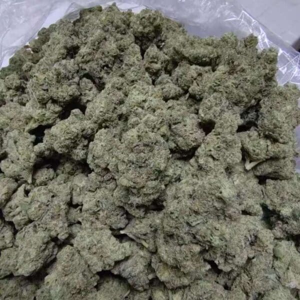 Ice Cream Cake - Indica-Dominant Hybrid Exotic Indoor
