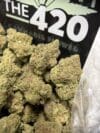 Sherbet Cake Strain – (Small Flower) | Hybrid THC 🔥 New Drop - Image 3