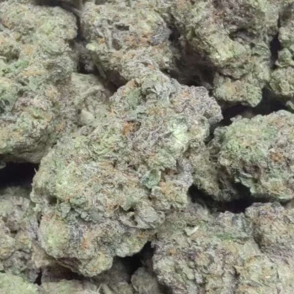 Gush Mint – Indica-Dominant Hybrid Exotic Indoor