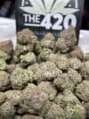 Blue Cherry Strain – Premium Exotic Hybrid Flower