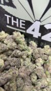 Lemon Cherry Strain (Small Flower) | Hybrid Cannabis - Image 2