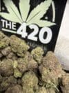 White Guava Runtz – Exotic Hybrid Cannabis Flower 🔥 New Drop - Image 2