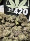 Gaviar Gumbo Strain – Premium Exotic Indica-Dominant Hybrid