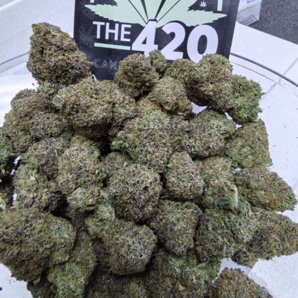 Apple Banana – Balanced Hybrid Exotic Indoor