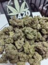 Cap Junky – Hardcore Hybrid | Top Shelf Exotic Indoor 🔥 New Drop