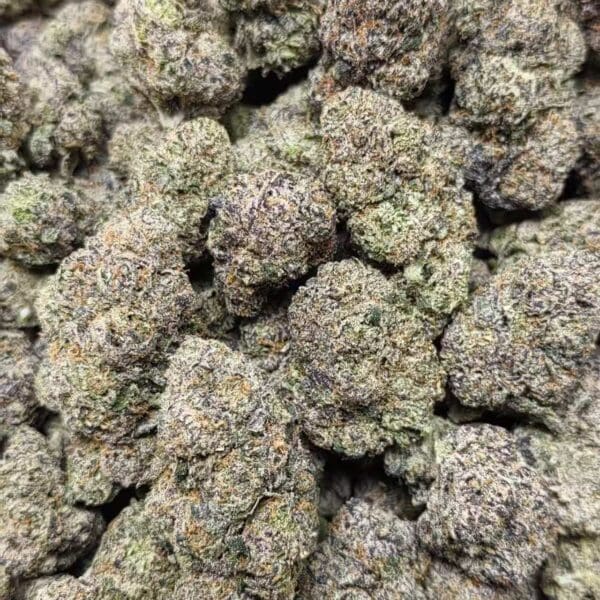 White Cherry – Smooth Hybrid 🔥 New Batch Drop